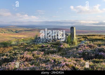 Long man Cairn und blühendes Heidekraut in den North Pennines an der Grenze zwischen Teesdale und Weardale, County Durham, Großbritannien Stockfoto