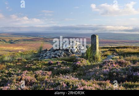 Long man Cairn und blühendes Heidekraut in den North Pennines an der Grenze zwischen Teesdale und Weardale, County Durham, Großbritannien Stockfoto