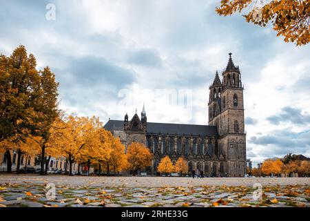 Malerischer Blick auf den alten Magdeburger Dom am Domplatz in der Magdeburger Altstadt in hellen orangefarbenen Herbstbäumen bei bewölktem Regen Stockfoto