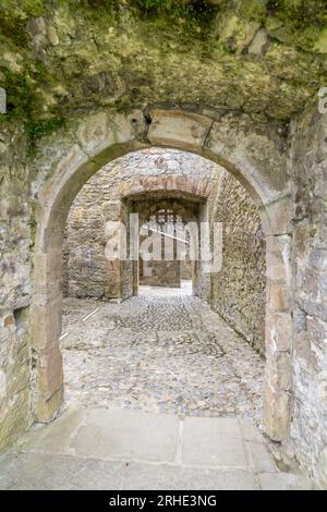 Luftaufnahme von Cahir Castle und Stadt in Irland mit Tower House Doppeltor mit Portcullis Stockfoto