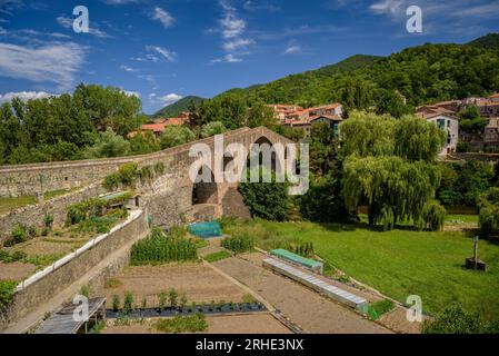 Die alte mittelalterliche Brücke, die den Fluss Ter in Sant Joan de les Abadesses überquert, mit der Stadt im Hintergrund (Ripollès, Girona, Katalonien, Spanien) Stockfoto