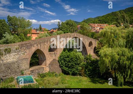 Die alte mittelalterliche Brücke, die den Fluss Ter in Sant Joan de les Abadesses überquert, mit der Stadt im Hintergrund (Ripollès, Girona, Katalonien, Spanien) Stockfoto