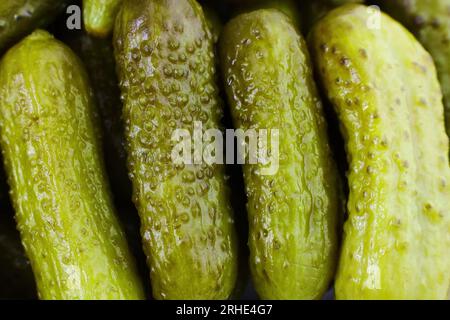 Leckere hausgemachte grüne eingelegte Gurken aus nächster Nähe von oben. Stockfoto