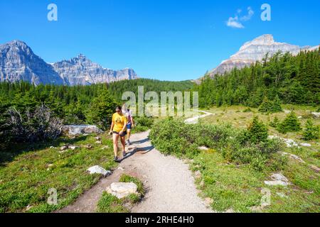 Lärchtal Wanderung Banff National Park, Canadian Rockies, Alberta, Kanada. Banff National Park, Alberta, Kanada Stockfoto