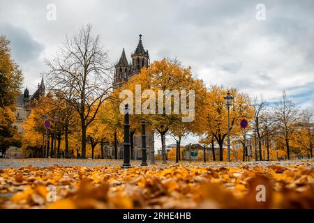 Malerischer Blick auf den alten Magdeburger Dom am Domplatz in der Magdeburger Altstadt in hellen orangefarbenen Herbstbäumen bei bewölktem Regen Stockfoto