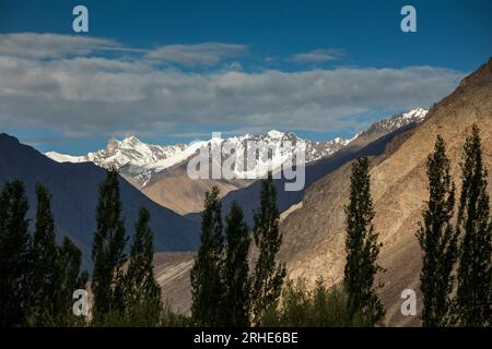 Indien, Ladakh, Nubra-Tal, Sumur, entfernte Karakoram-Berge Stockfoto