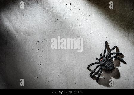 Halloween-Hintergrund mit Kopierraum. Große schwarze Spinne im Keller Dunkelheit Stockfoto