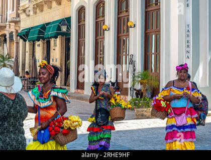 Kuba Havanna. Touristen in den Straßen der Altstadt von Havanna. Restaurants, Cafés... Auf diesen Plätzen florieren Handel, Straßenmusiker und Touristen. Stockfoto