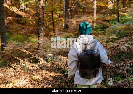 Eine Reisende Frau mit Rucksack im Herbstwald. Stockfoto