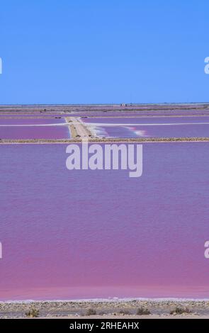 Rosafarbene Teiche in künstlichen Salz-Verdampferwannen in der Camargue, Salin de Guiraud, Frankreich Stockfoto