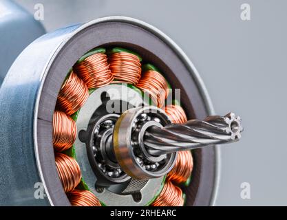 Elektromotorrotor mit Schneckenrad, Kugellager und Induktivitäten auf grauem Hintergrund. Kupferdraht an elektromagnetischen Spulen im Inneren des Elektromotors. Stockfoto