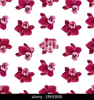 Nahtloses Aquarellmuster mit tropischen Orchideenblüten Phalaenopsis blüht. Zum Einwickeln, Tapeten, Stoff, Textil Stockfoto