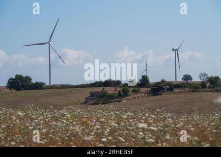 Piansano, Lazio, Italien. 16. August 2023 Windturbinen auf einem Windpark in Piansano, Mittelitalien zur Stromerzeugung. Italien strebt an, seine Abhängigkeit von fossilen Brennstoffen zu verringern und den Übergang zu einem nachhaltigeren Energiemix zu vollziehen, mit dem Ziel, bis 2030 30 % seines Energieverbrauchs aus erneuerbaren Quellen zu erreichen. Credit amer ghazzal/Alamy Live News Stockfoto