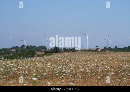 Piansano, Lazio, Italien. 16. August 2023 Windturbinen auf einem Windpark in Piansano, Mittelitalien zur Stromerzeugung. Italien strebt an, seine Abhängigkeit von fossilen Brennstoffen zu verringern und den Übergang zu einem nachhaltigeren Energiemix zu vollziehen, mit dem Ziel, bis 2030 30 % seines Energieverbrauchs aus erneuerbaren Quellen zu erreichen. Credit amer ghazzal/Alamy Live News Stockfoto