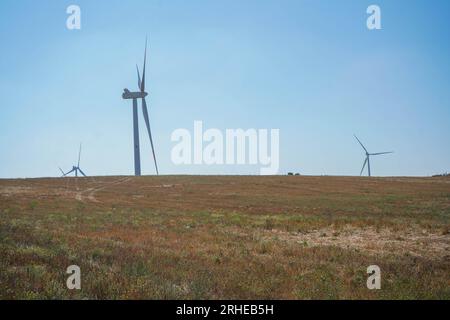 Piansano, Lazio, Italien. 16. August 2023 Windturbinen auf einem Windpark in Piansano, Mittelitalien zur Stromerzeugung. Italien strebt an, seine Abhängigkeit von fossilen Brennstoffen zu verringern und den Übergang zu einem nachhaltigeren Energiemix zu vollziehen, mit dem Ziel, bis 2030 30 % seines Energieverbrauchs aus erneuerbaren Quellen zu erreichen. Credit amer ghazzal/Alamy Live News Stockfoto