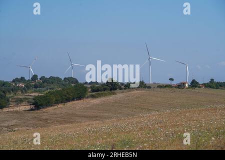 Piansano, Lazio, Italien. 16. August 2023 Windturbinen auf einem Windpark in Piansano, Mittelitalien zur Stromerzeugung. Italien strebt an, seine Abhängigkeit von fossilen Brennstoffen zu verringern und den Übergang zu einem nachhaltigeren Energiemix zu vollziehen, mit dem Ziel, bis 2030 30 % seines Energieverbrauchs aus erneuerbaren Quellen zu erreichen. Credit amer ghazzal/Alamy Live News Stockfoto