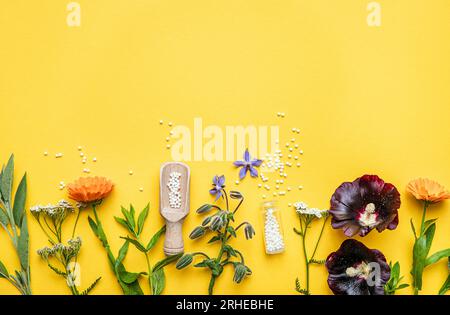 Flache Lay-Ansicht homöopathische Medizin Pillen in Gläsern und verschüttet herum auf gelbem Hintergrund, dekoriert mit frischen verschiedenen Kräutern und Pflanzen, Blumen. Stockfoto