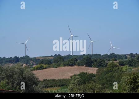 Piansano, Lazio, Italien. 16. August 2023 Windturbinen auf einem Windpark in Piansano, Mittelitalien zur Stromerzeugung. Italien strebt an, seine Abhängigkeit von fossilen Brennstoffen zu verringern und den Übergang zu einem nachhaltigeren Energiemix zu vollziehen, mit dem Ziel, bis 2030 30 % seines Energieverbrauchs aus erneuerbaren Quellen zu erreichen. Credit amer ghazzal/Alamy Live News Stockfoto