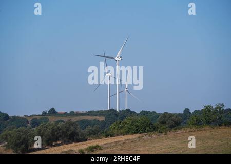 Piansano, Lazio, Italien. 16. August 2023 Windturbinen auf einem Windpark in Piansano, Mittelitalien zur Stromerzeugung. Italien strebt an, seine Abhängigkeit von fossilen Brennstoffen zu verringern und den Übergang zu einem nachhaltigeren Energiemix zu vollziehen, mit dem Ziel, bis 2030 30 % seines Energieverbrauchs aus erneuerbaren Quellen zu erreichen. Credit amer ghazzal/Alamy Live News Stockfoto