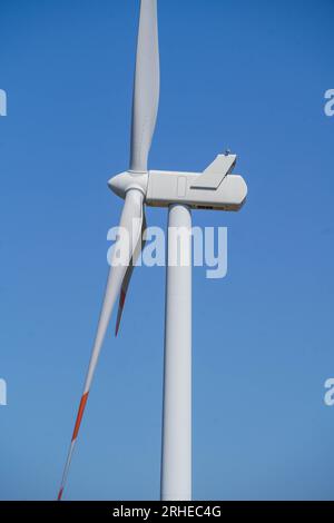 Piansano, Lazio, Italien. 16. August 2023 Windturbinen auf einem Windpark in Piansano, Mittelitalien zur Stromerzeugung. Italien strebt an, seine Abhängigkeit von fossilen Brennstoffen zu verringern und den Übergang zu einem nachhaltigeren Energiemix zu vollziehen, mit dem Ziel, bis 2030 30 % seines Energieverbrauchs aus erneuerbaren Quellen zu erreichen. Credit amer ghazzal/Alamy Live News Stockfoto