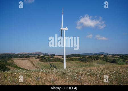 Piansano, Lazio, Italien. 16. August 2023 Windturbinen auf einem Windpark in Piansano, Mittelitalien zur Stromerzeugung. Italien strebt an, seine Abhängigkeit von fossilen Brennstoffen zu verringern und den Übergang zu einem nachhaltigeren Energiemix zu vollziehen, mit dem Ziel, bis 2030 30 % seines Energieverbrauchs aus erneuerbaren Quellen zu erreichen. Credit amer ghazzal/Alamy Live News Stockfoto