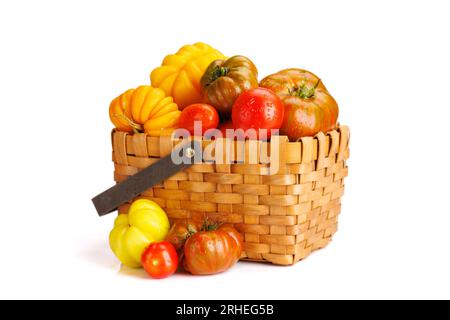 Verschiedene Tomaten in rustikaler Kiste. Isoliert auf weißem Hintergrund Stockfoto