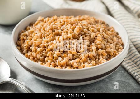 Gekochtes organisches Farrokorn in einer Schüssel zum Abendessen Stockfoto