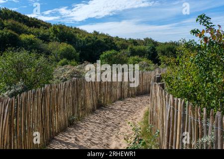 Dünen de la Slack in der Region Hauts de France in Frankreich Stockfoto