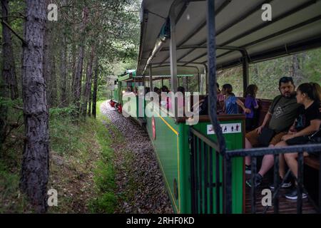 Tren del Ciment, am Bahnhof Clot del Moro, Castellar de n´Hug, Berguedà, Katalonien, Spanien. Die Tren del Ciment ist eine Linie, die die Geschichte der Th Stockfoto