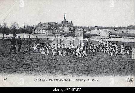 Chasse a courre : sortie de la meute de chiens devant le Chateau de Chantilly - Carte postale fin 19eme-Debüt 20eme siecle Stockfoto