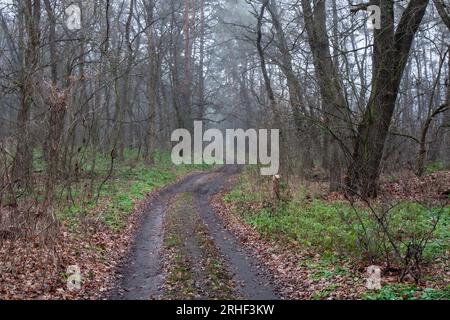 Nebelige Landkappe mit unbefestigter Straße im Herbstwald. Nehmen Sie es in der Ukraine Stockfoto