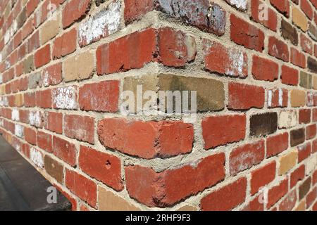 852 Ziegelsteinquoining aus rotbraunen Ziegeln an einer Eckwand, Liebig Lane Area. Warrnambool-Victoria. Stockfoto