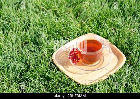 Eine Tasse Tee auf grünem Gras Stockfoto