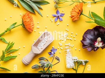 Flache Lay-Ansicht homöopathische Medizin Pillen in Gläsern und verschüttet herum auf gelbem Hintergrund, dekoriert mit frischen verschiedenen Kräutern und Pflanzen, Blumen. Stockfoto