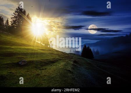 Tannen auf einer Wiese zwischen Hängen mit Nadelwald im Nebel mit Sonne und Mond in der Dämmerung. Tag- und Nachtwandlungskonzept. Geheimnisvolle Countrys Stockfoto
