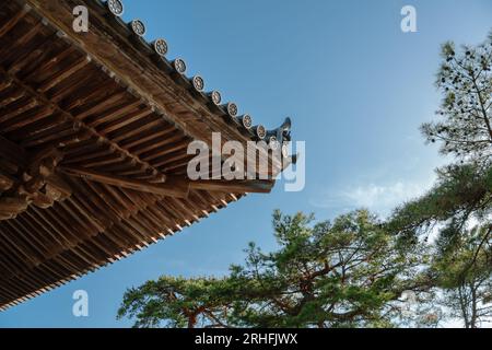 Godaido des Zuiganji-Tempels traditionelles hölzernes Dachhimmel in Matsushima, Miyagi, Japan Stockfoto