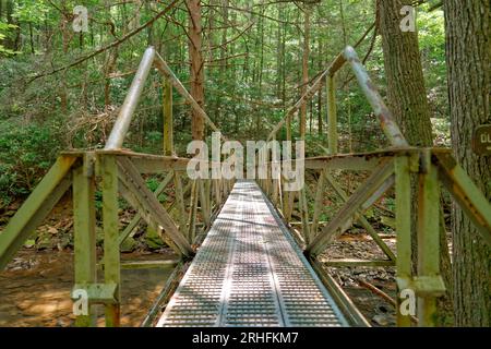 Auf einem Pfad durch den Wald befindet sich eine große, rostige alte Stahlbrücke mit einem Gitterboden, auf dem man im Sommer über einen flachen, breiten Bach gehen kann Stockfoto