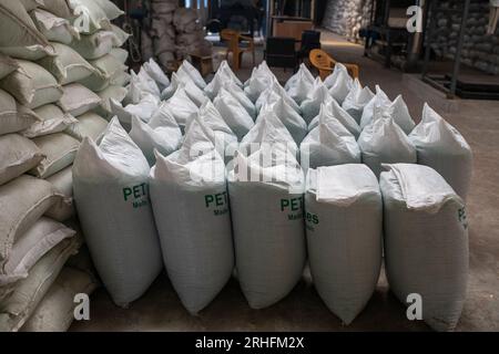 Säcke mit Plastikflocken, hergestellt aus gebrauchten Plastikflaschen in einer Recyclinganlage in Dhaka, Bangladesch. Stockfoto