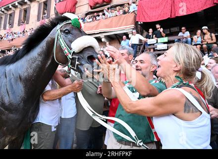 Siena. 16. Aug. 2023. Am 16. August 2023 feiern die Menschen mit dem Gewinnerpferd während des Palio in Siena, Italien. Palio in Siena, oder „Palio di Siena“ auf Italienisch, ist ein historisches Pferderennen, das seit 1656 zweimal jährlich in Siena stattfindet. Kredit: Alberto Lingria/Xinhua/Alamy Live News Stockfoto