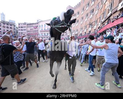 Siena. 16. Aug. 2023. Am 16. August 2023 feiern die Menschen mit dem Gewinnerpferd während des Palio in Siena, Italien. Palio in Siena, oder „Palio di Siena“ auf Italienisch, ist ein historisches Pferderennen, das seit 1656 zweimal jährlich in Siena stattfindet. Kredit: Alberto Lingria/Xinhua/Alamy Live News Stockfoto