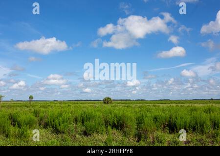 südwest-florida-Panorama Stockfoto