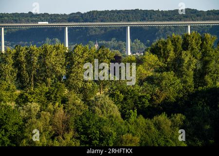 Blick ins Ruhrtal, im Osten, von Mülheim an der Ruhr, über die Saarn-Mendener Ruhraue, Ruhrtalbrücke der Autobahn A52, NRW, Keim Stockfoto