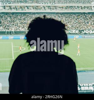 Blick auf die Fußballfans von Botafogo im Nilton Santos Stadium während eines Spiels der A-Serie Stockfoto