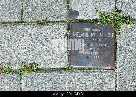 Wiesbaden, Deutschland - 10. August 2023: Stolperstein in Wiesbaden Gedenkstätten auf den Gehwegen für Opfer der NS-Unterdrückung. Stockfoto