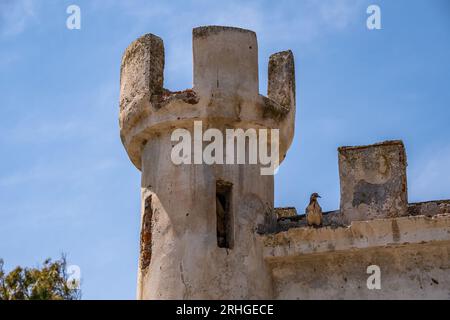 Alte wetterabgenutzte griechische Gebäude, rissige Wände und abblätternde Farbe, Verfall, schaffen ein malerisches, bezauberndes Bild eines Moments in der Zeit auf der Insel Tinos Stockfoto