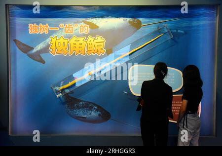 Stachelige Meeresorganismen, die im Zhejiang Museum of Natural History ausgestellt werden, ziehen Besucher an, Stadt Hangzhou, ostchinesische Provinz Zhejiang, 15. August 202 Stockfoto