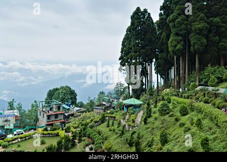 Darjeeling, westbengalen, Indien, 05.27.2023. Landschaftsblick auf den Bergpark in asien Stockfoto