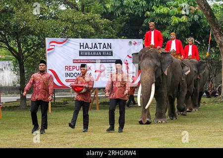Pekanbaru, Indonesien. Aug. 2023. Sumatra-Elefanten werden vor einer indonesischen nationalen Flaggenhisserungszeremonie gesehen, um den 78. Unabhängigkeitstag in Pekanbaru, Provinz Riau, Indonesien, am 17. August 2023 zu feiern. Am 17. August findet der Unabhängigkeitstag Indonesiens statt. Dank: Hadly Vavaldi/Xinhua/Alamy Live News Stockfoto