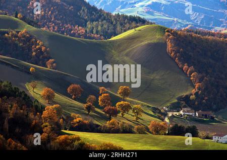 boschi e campi in autunno nel Montefeltro Stockfoto