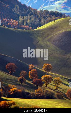 boschi e campi in autunno nel Montefeltro Stockfoto